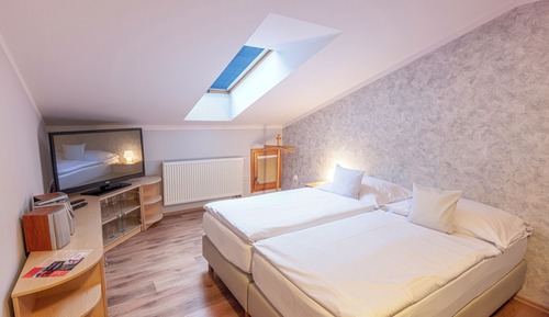 Double Room (attic)