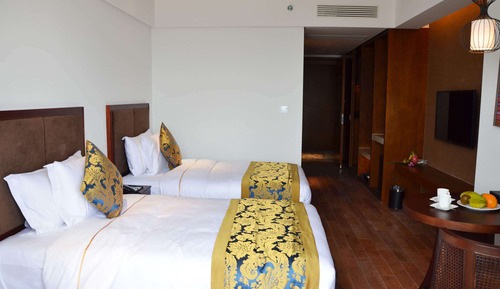 Deluxe Twin Room, River View