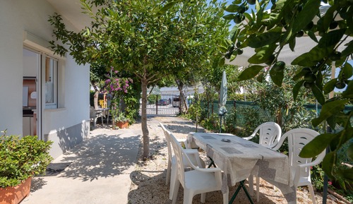Basic Apartment