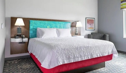Room, 1 King Bed, Accessible (Roll-In Shower)