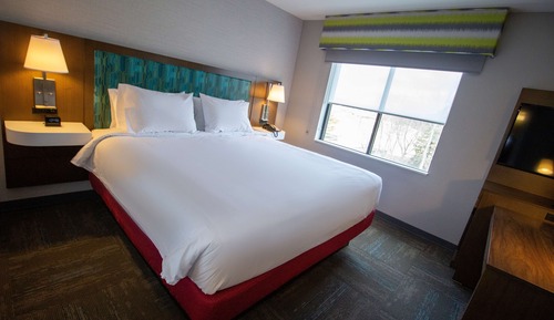 Room, 1 King Bed, Accessible (Mobility & Hearing, Roll-in Shower)
