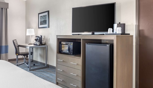 Standard Room, 1 King Bed, Accessible, Refrigerator & Microwave (Walk-in Shower)