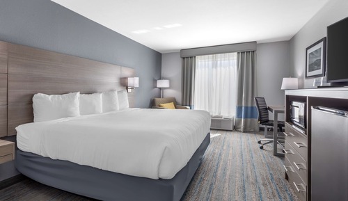 Standard Room, 1 King Bed, Non Smoking, Refrigerator & Microwave