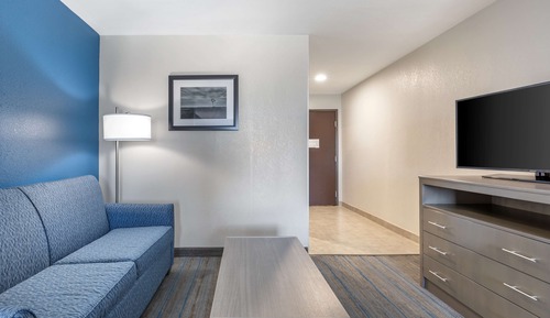 Suite, 1 King Bed, Accessible, Refrigerator & Microwave (with Sofabed)