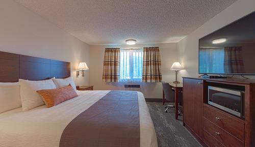 Standard Room, 1 King Bed (Single King Room)