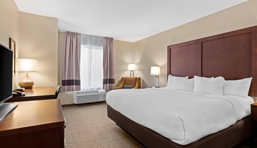 Standard Room, 1 King Bed, Non Smoking