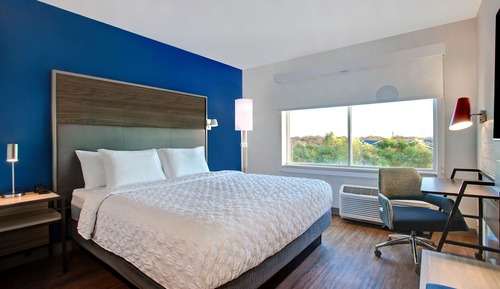 Room, 1 King Bed