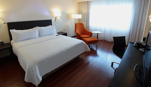 Basic Room (king)