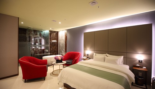 Premier Double Room