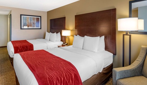Room, 2 Queen Beds, Non Smoking (Pet Friendly)