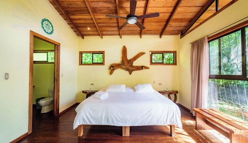 Room (Jungle)