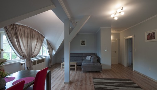 Comfort Apartment, 1 Queen Bed with Sofa bed