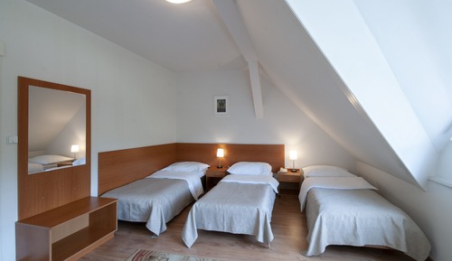 Basic Triple Room