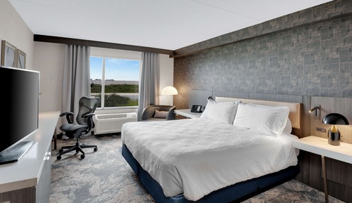 Room, 1 King Bed