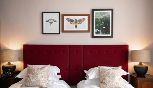 Standard Twin Room