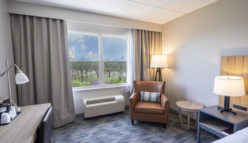 Room, 1 King Bed, Non Smoking