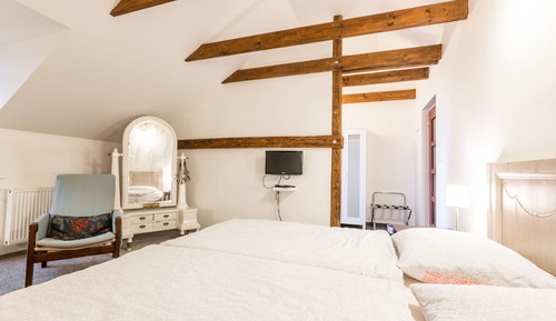 Comfort Twin Room, 1 Bedroom, Garden View