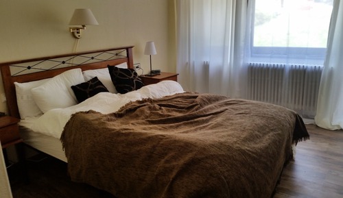 Standard Double Room, Mountain View