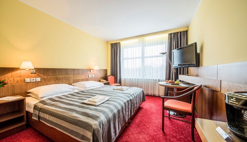 Deluxe Double or Twin Room