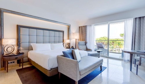 Room, 1 King Bed, Accessible