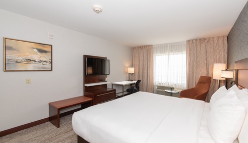 Standard Room, 1 Queen Bed, Accessible, Non Smoking