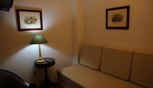 Standard Double or Twin Room (Single Use )