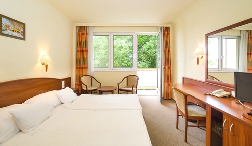 Classic Double Room