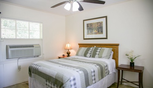 Standard Room, 1 Queen Bed (9)
