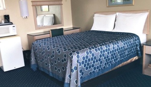 Standard Single Room, 1 King Bed