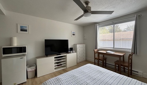 Basic Studio, 1 Queen Bed (Unit 2A)