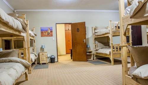 Basic Shared Dormitory, Multiple Beds