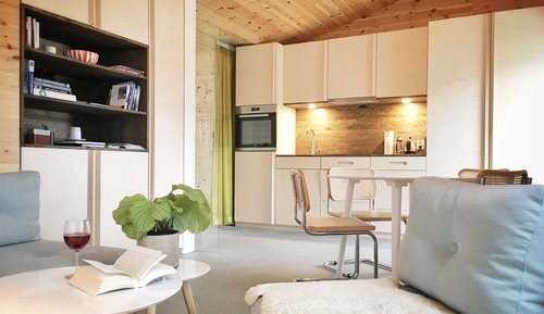 Standard Apartment, Private Bathroom, Mountain View (Apartment 01 )
