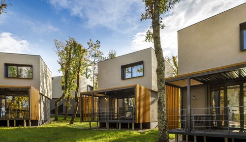 Villa (Pinus)