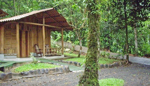 Traditional Cabin, Mountain View