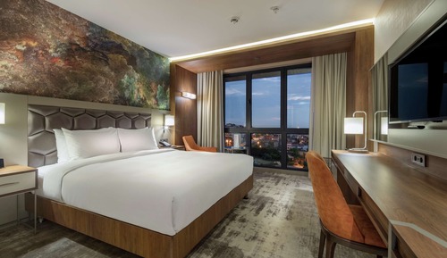 Room, 1 King Bed