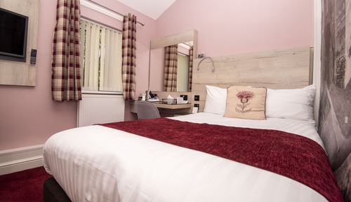 Superior Single Room, 1 Bedroom, Ensuite, Garden View