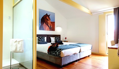 Classic Double or Twin Room