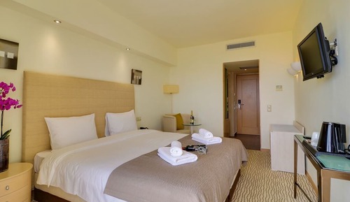 Standard Double Room, Mountain View (Olympus View)