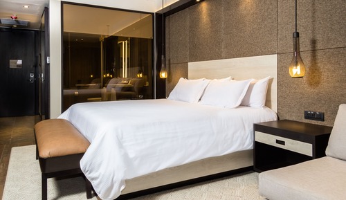 Deluxe Room, 1 King Bed, Mountain View