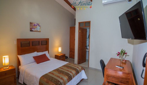 Basic Single Room, 1 Twin Bed