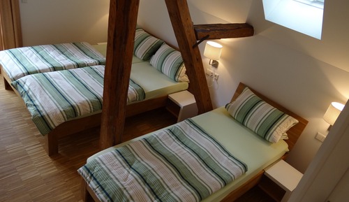 Triple Room, Ensuite (mit Bergblick)