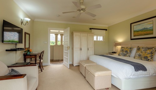 Deluxe Double Room, 1 King Bed