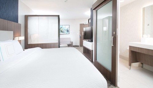 Suite, 1 King Bed with Sofa bed