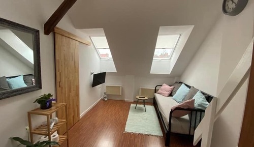 Luxury Apartment