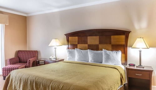 Standard Room, 1 King Bed with Sofa bed, Non Smoking