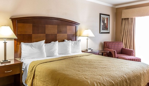 Standard Room, 1 King Bed, Non Smoking