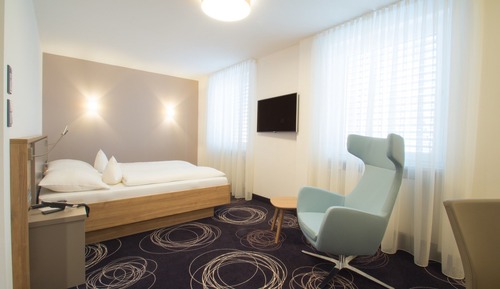 Business Double Room Single Use