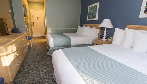 Standard Room, 2 Double Beds