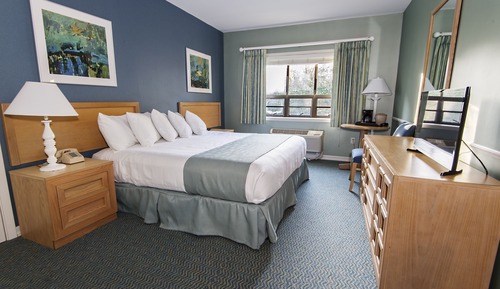 Standard Room, 1 King Bed