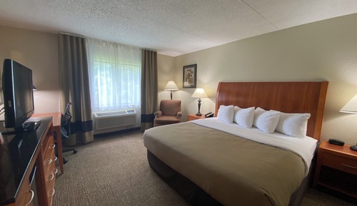 Business Room, 1 King Bed